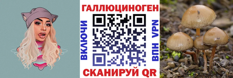 MEGA онион  закладка  Нариманов  Галлюциногенные грибы мицелий 